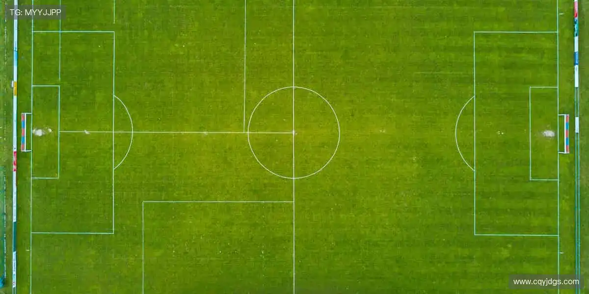 📺【直播平台】指尖轻点,与全球球迷共享心跳瞬间!